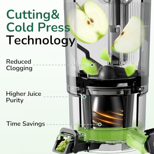 Canoly 3-in-1 Cold Press Juicer C16, Makes Juice & Sorbet & Nut Milk - color: Space Gray