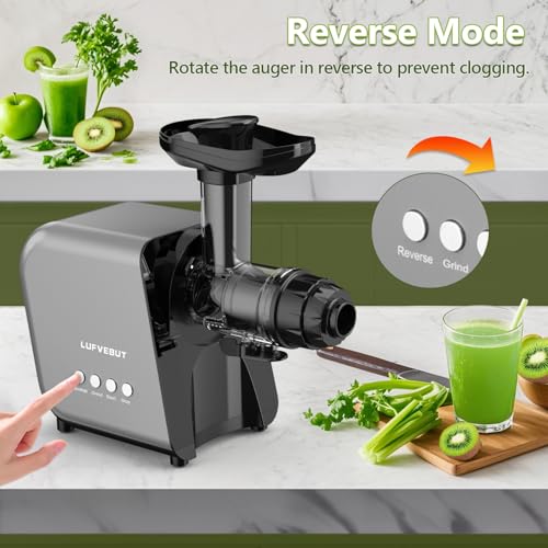 Masticating Juicer Machine 250W, Slow Cold Press High Yield with Grinder - color: Silver