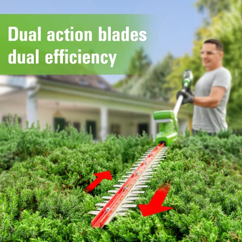 Greenworks 24V 8" Cordless Polesaw + 20" Pole Hedge Trimmer Combo (Great For Pruning and Trimming Branches / Shrubs), 2.0Ah Battery and Charger Included - size: 8" Combo (2.0Ah), style: Polesaw