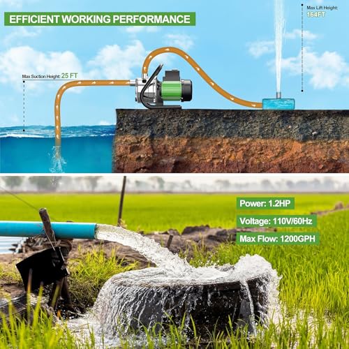 Water Transfer Pump Electric Shallow Well Pump 1.2HP