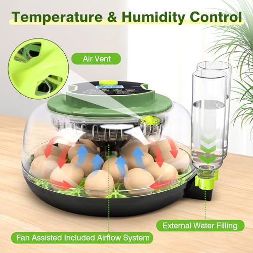 18 Chicken Egg Incubator with Temperature Control Auto Egg Turner - style: 18 Eggs