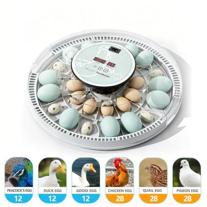 28 Egg Incubator with Auto Egg Turner, Duck Goose Egg Trays Hatcher