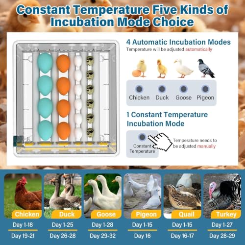 120 Egg incubators for Hatching Eggs with Automatic Turning & 5 Modes - color: 120 Egg White