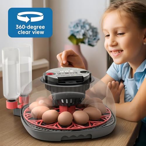 12-24 Egg Incubator incubators for Hatching Eggs - color: Red