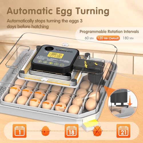 Incubators for Hatching Eggs Egg Incubator for Lab Home Farm with Automatic Egg Turning for Chicken, Ducks, Goose, Quail 48 Eggs