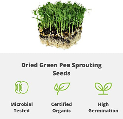 Handy Pantry Green Pea Sprouting Seed - 2.5 Lb - Green Pea for Sprouts - size: 2.5 pounds