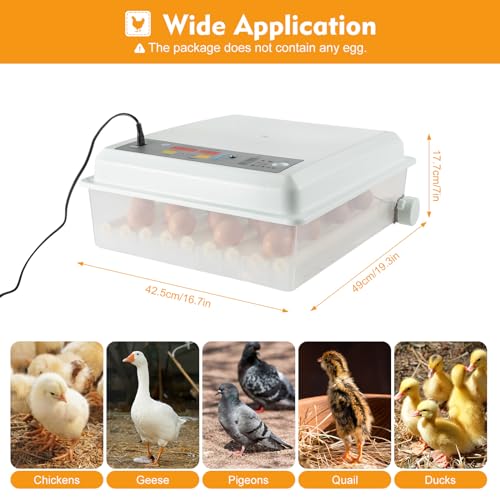 Egg Incubator 64 Eggs, Single Layer Digital Hatcher, Poultry Hatching Machine, 3-in-1 Hatching, Brooding & Incubating, Temperature Control, for Chicken Quail Duck Goose Pigeon - size: 64 Eggs