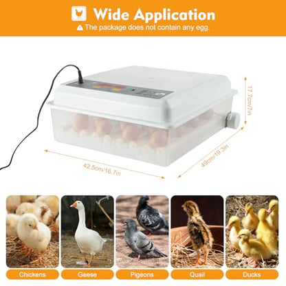Egg Incubator 64 Eggs, Single Layer Digital Hatcher, Poultry Hatching Machine, 3-in-1 Hatching, Brooding & Incubating, Temperature Control, for Chicken Quail Duck Goose Pigeon - size: 64 Eggs