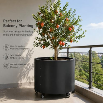 2 Pack Rolling Planter for Tree,30 Gallon Large Metal Tree Pots for Outdoor - color: Black