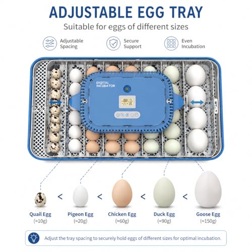 70 Egg Incubator for Hatching Eggs withAuto Turn, Temp & Humidity Control, Built-in CandleLarge Capacity Egg Incubator for Chicken Duck Goose Eggs
