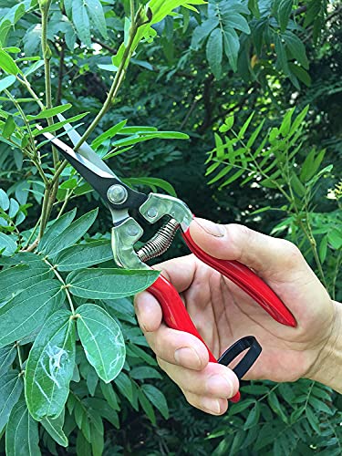 gonicc Micro-Tip Pruning Snips(GPPS-1008), Stainless Steel Garden Shears - color: Red Micro-tip Pruning Snip