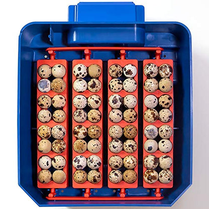 Premier 1 Borotto® Lumia 16 Automatic Egg Incubator