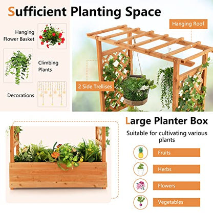 LDAILY Raised Garden Bed with Trellis, Above Ground Garden Bed with Hanging Roof, Side Trellis, & 4 Drainage Holes, Planter Box for Outdoor Climbing Plants Vines Flowers (1, 43.5"L x 17.5"W x 44.5"H) - size: 43.5" L x 17.5" W x 44.5" H