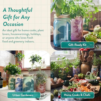 Modern Sprout Mason Jar+Replant Kit- Self-Watering Hydroponics System-Basil - color: Basil, size: Garden Jar + Replant Kit