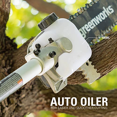 Greenworks 10-Inch Polesaw Attachment for Greenworks Attachment Capable String Trimmers - size: Polesaw, style: Attachment