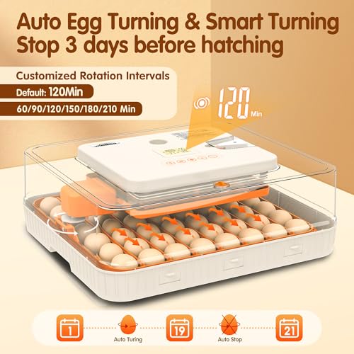Egg Incubator 56 Eggs Incubators for Hatching Eggs with Auto Egg Turner for Chicken Duck Goose Eggs - size: 56 chicken eggs