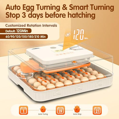 Egg Incubator 56 Eggs Incubators for Hatching Eggs with Auto Egg Turner for Chicken Duck Goose Eggs - size: 56 chicken eggs