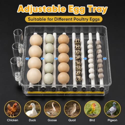 288 Egg Incubator for Hatching Eggs with Auto Turner, Temp Control, Candler - color: 288 Egg