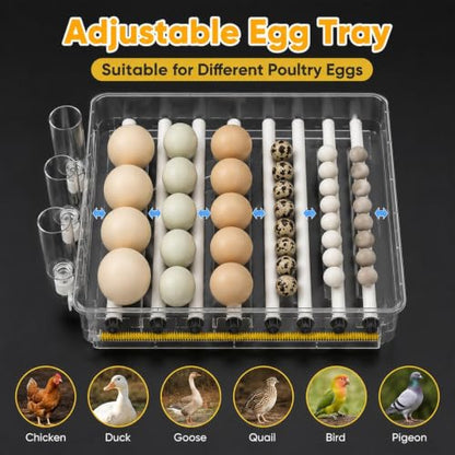 288 Egg Incubator for Hatching Eggs with Auto Turner, Temp Control, Candler - color: 288 Egg
