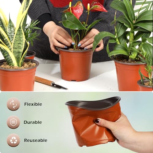 6 Inch 200 Pack Plastic Nursery Pots with Drainage Holes with 200pcs Labels - size: 6inch 200pcs