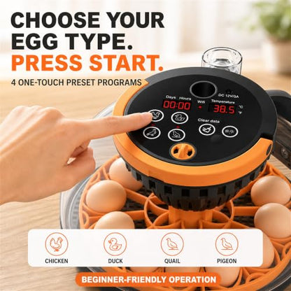 12-Egg Incubator for Hatching Chicken Eggs with WiFi Camera and Auto Turner