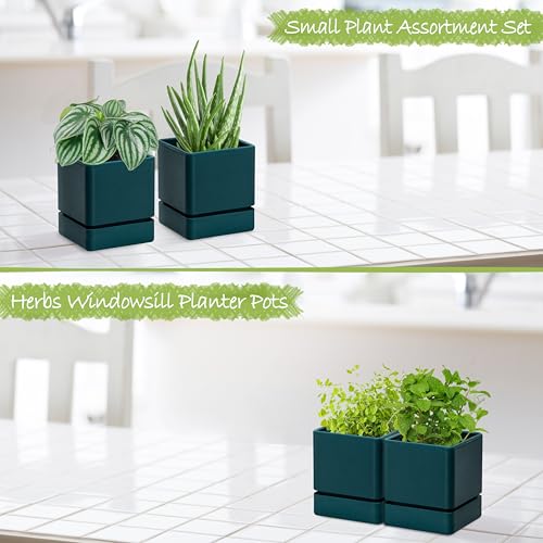 D'vine Dev 2-Pack Plastic Herb Planter Pots, 4 in, Green, 76-Y-C-1 - color: Green, size: 8 Inch x 4.5 Inch