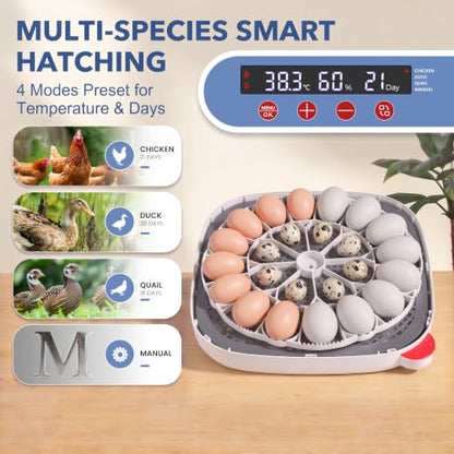 Sailnovo 24 Egg Incubators for Hatching Eggs, 360° View with 4 Modes, Blue