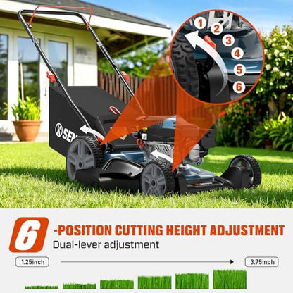 SENIX 21-Inch Gas Push Lawn Mower, 144cc, Steel Deck, 6-Height