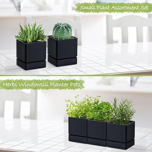 D'vine Dev 3-Pack Plastic Herb Planter Pots, 4 in, Black, 76-Y-B3-1 - color: Black, size: 12 Inch x 4.5 Inch