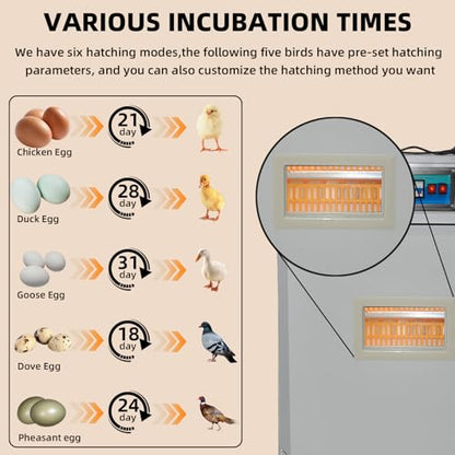 XKV 440 Egg Large Incubator with Automatic Egg Turning,with Viewing Window - size: 440 Egg-265L