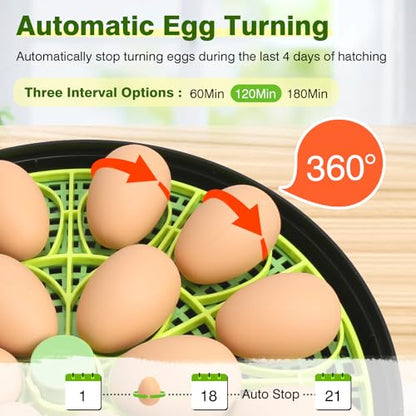 18 Chicken Egg Incubator with Temperature Control Auto Egg Turner - style: 18 Eggs