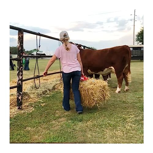 Reinsman Bale Handle - Rugged Construction Ergonomic Carry Handle for Moving Square Hay Bales with Ease - Red