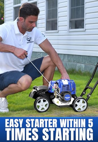 Wild Badger Power 31cc 4-Cycle Gas Walk-Behind Lawn Edger, 9.5-in Blade