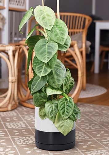 D'vine Dev 10 Inch Ceramic Planter Pot, Black White Two Tone, 94-O-E-L - color: Layered Monochrome Black & White, size: Large