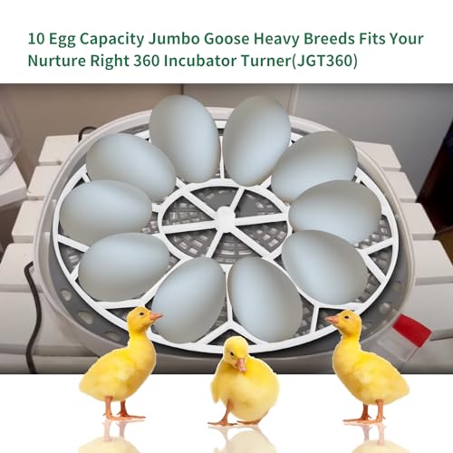 Goose/Peacock Egg Tray Compatible with Nurture Right 360 Turner (JGT360)