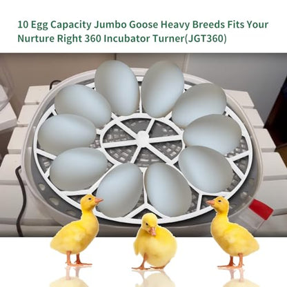 Goose/Peacock Egg Tray Compatible with Nurture Right 360 Turner (JGT360)