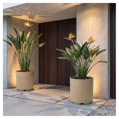 COSIEST 16’’ Plastic Planter Pot with Drainage for Indoor Outdoor, 2 Pack | Drainage Design, Garden Planter Pot - color: Beige, size: 2 PCS
