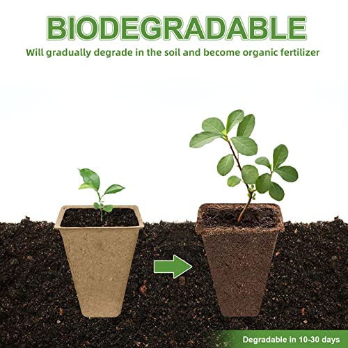 240 Cells Biodegradable Seedling Starter Trays, 20 Pack Plant Starter Kit - size: 240 Cells, 20 Packs