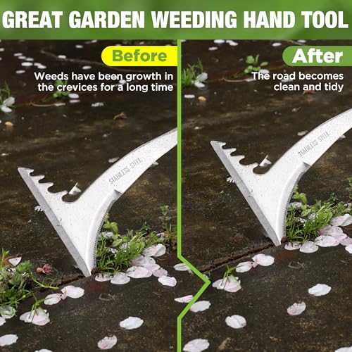 WORKPRO Crack Weeder, 13.5" Stainless Steel Weeding Tool, Wooden Handle