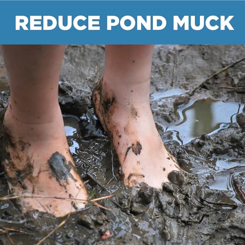 Jenlis Muck Razer Aquatic Weed & Sludge Tiller for Pond & Lake Shorelines