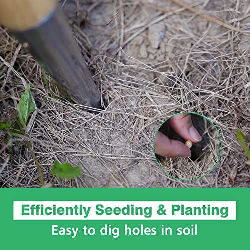 Hand Dibber, Stainless Steel Seed Planter Tool Bulb Planter Tool - size: 4.8''
