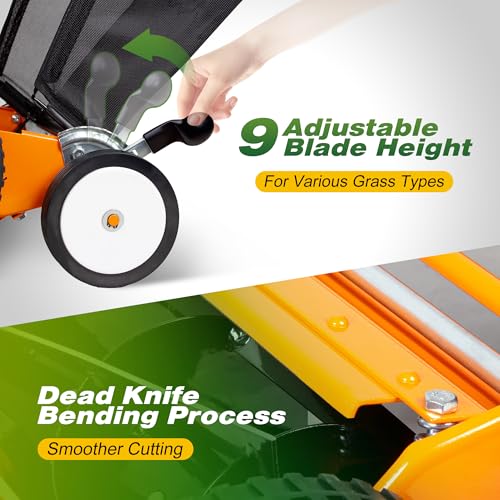 Walensee 20-Inch 5-Blade Push Reel Lawn Mower, Cordless Manual Reel Lawn Mower Walk-Behind Steel Lawn Mowers with Removable 11.8-Gallon Grass Catcher, Sponge Grip, 9-Position Cutting Height Adjustment - size: 20-Inch With Catcher