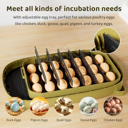 Ovatt 24-Egg Digital Incubator - Automatic Temperature and Humidity Control, LED Display, Automatic Rotation, External Water Refill - Ideal for Incubating Chicken, Duck, Quail, and Goose Eggs