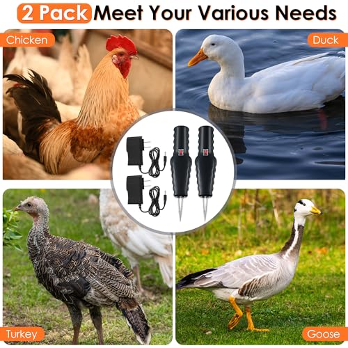 Saillong 2 Pack Handheld Chicken Plucker, Electric Quick Poultry Plucker Machine for Removing The Pin Feathers, Portable Rechargeable Waterproof Feather Plucker for Chicken Duck Goose Bird (Black) - color: Black + Silver + Red