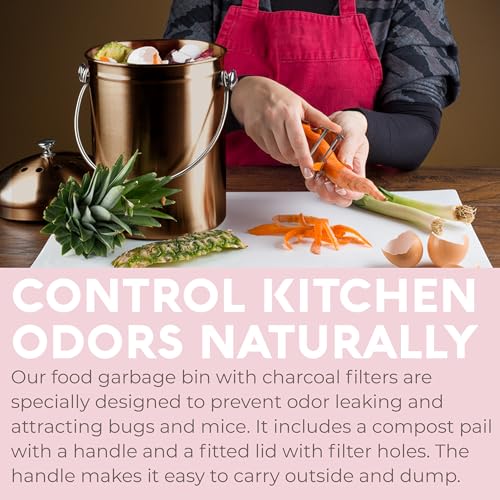 Epica Kitchen Compost Bin for Kicthen Countertops, 1.3 Galllon - Copper - color: Copper