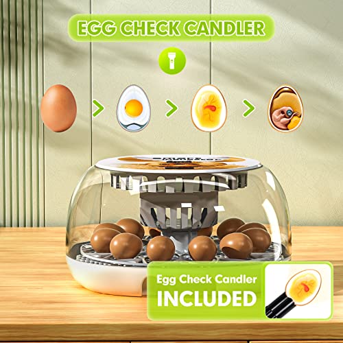 Upgraded Auto Digital Incubator, 12 Eggs Natural Incubation Simulator, Auto Egg Rolling and Water Fulfilling, 24H Temperature Control, with Egg Flashlight, Easy Newcomer Poultry Incubation