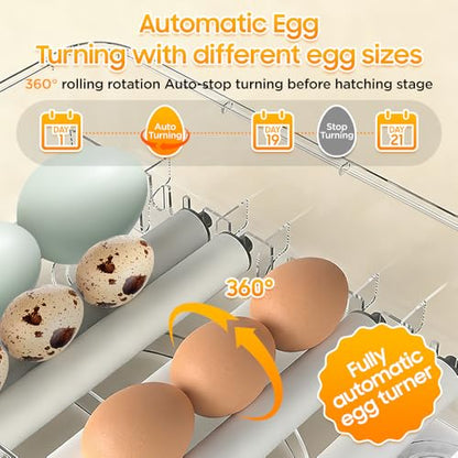 Egg Incubator - 2026 New Egg Incubator with Automatic Egg Turning and Humidity Control,Large Poultry Hatcher for Chickens Birds Ducks (288 Eggs)
