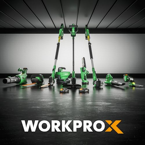 WORKPROX 12inch 20V Weed Wacker, 2Pcs Grass Trimmer Spool Line