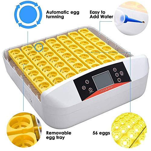 TECHTONGDA Digital Egg Incubator 56Eggs Automatic Poultry Hatcher with Egg Turning and Humidity Control 110V