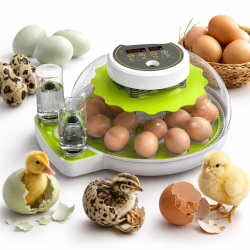 ME JO 18 Egg Incubator with Automatic Turner & Humidity Control, Built-in Candler, Egg Incubator for Chicken, Duck, Quail Eggs, Easy Hatch for Home, Farm, Classroom